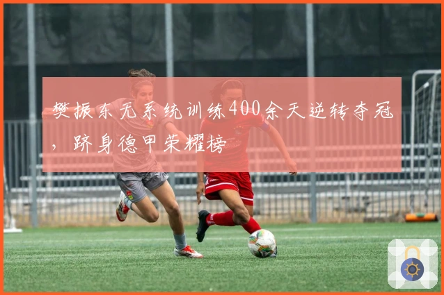 樊振东无系统训练400余天逆转夺冠，跻身德甲荣耀榜